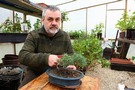 VELEBITSKA RAKIJA TRAVARICA i ELIKSIR ZA ŽENE VILA VELEBITA - Najbolje u Hrvatskoj 