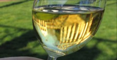 BOLFAN SAUVIGNON, BOLFAN VINSKI VRH - Najbolje u Hrvatskoj 