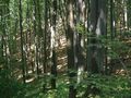 RAVNA GORA - Najbolje u Hrvatskoj 
