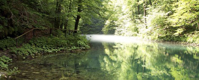 NACIONALNI PARK RISNJAK - Najbolje u Hrvatskoj 