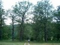 LAUDONOV GAJ - Najbolje u Hrvatskoj 