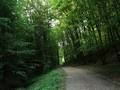 PARK ŠUMA DOTRŠČINA - Najbolje u Hrvatskoj 