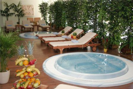 GRAND HOTEL 4 OPATIJSKA CVIJETA****, OPATIJA - Najbolje u Hrvatskoj 