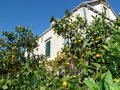 APARTMANI MIR, DUBROVNIK - Najbolje u Hrvatskoj 