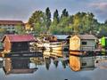 DUNAV-DUNAVAC - Najbolje u Hrvatskoj 
