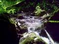 ZAŠTIĆENI KRAJOLIK PAKRAČKA GORA - Najbolje u Hrvatskoj 