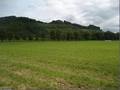 PARK ŠUMA KALVARIJA - Najbolje u Hrvatskoj 