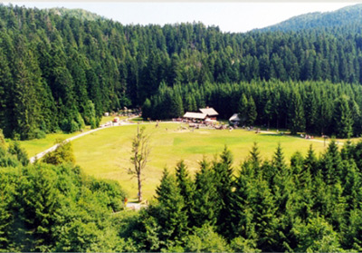 PARK ŠUMA GOLUBINJAK - Najbolje u Hrvatskoj 