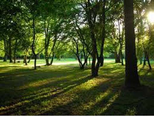 PARK ŠUMA ZLATNI RT - Najbolje u Hrvatskoj 