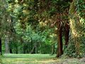 VELIKI PARK U DONJEM MIHOLJCU - Najbolje u Hrvatskoj 