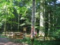 JELA CAR, VELEBIT - Najbolje u Hrvatskoj 