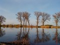ŠEĆERANSKO JEZERO, BELI MANASTIR - Najbolje u Hrvatskoj 