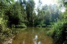 ŠIRINSKI OTOK, PITOMAČA - Najbolje u Hrvatskoj 
