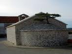CRNI BOR, NEREŽIŠĆA – OTOK BRAČ - Najbolje u Hrvatskoj 