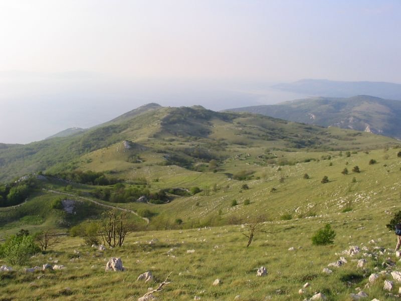 PLOMINSKA GORA - Najbolje u Hrvatskoj