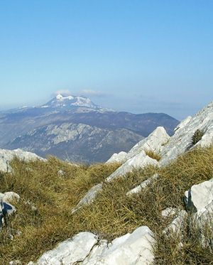 PLOMINSKA GORA - Najbolje u Hrvatskoj