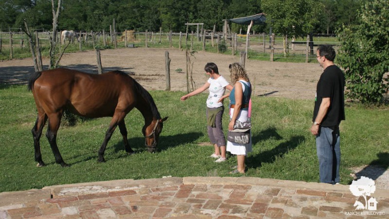 Konjički Ranch Kurilovec u Velikoj Gorici – idealan prostor za sve vrste proslava - Najbolje u Hrvatskoj 