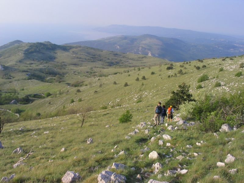PLOMINSKA GORA - Najbolje u Hrvatskoj