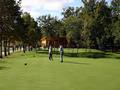 GOLF CENTAR NOVI DVORI, ZAPREŠIĆ - Najbolje u Hrvatskoj 