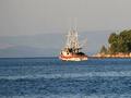 BIG GAME FISHING - Najbolje u Hrvatskoj 