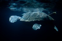 AQUARIUM PULA - Najbolje u Hrvatskoj 