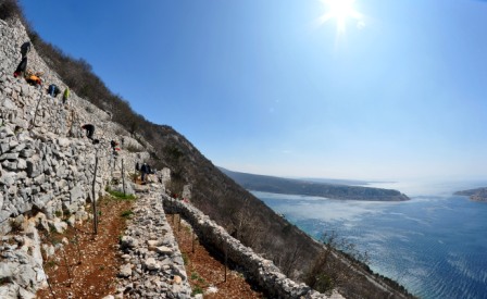 STARA BAKARSKA VODICA – PRIRODNO PJENUŠAVO VINO - Najbolje u Hrvatskoj