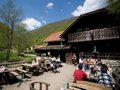 MOTEL BIO PARK DIVLJE VODE - Najbolje u Hrvatskoj 