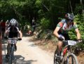 BIKE STAZA BUZET SJEVER - Najbolje u Hrvatskoj 