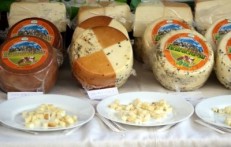 CESTA SIRA KARLOVAČKE ŽUPANIJE - Najbolje u Hrvatskoj 
