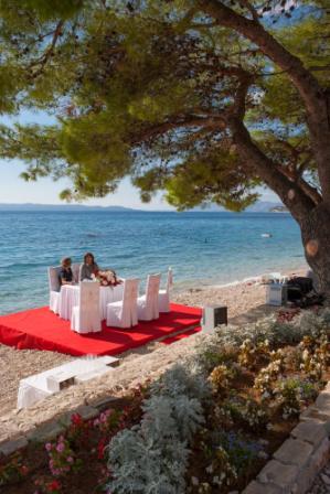 RESTORAN OLIVE TREE - Najbolje u Hrvatskoj