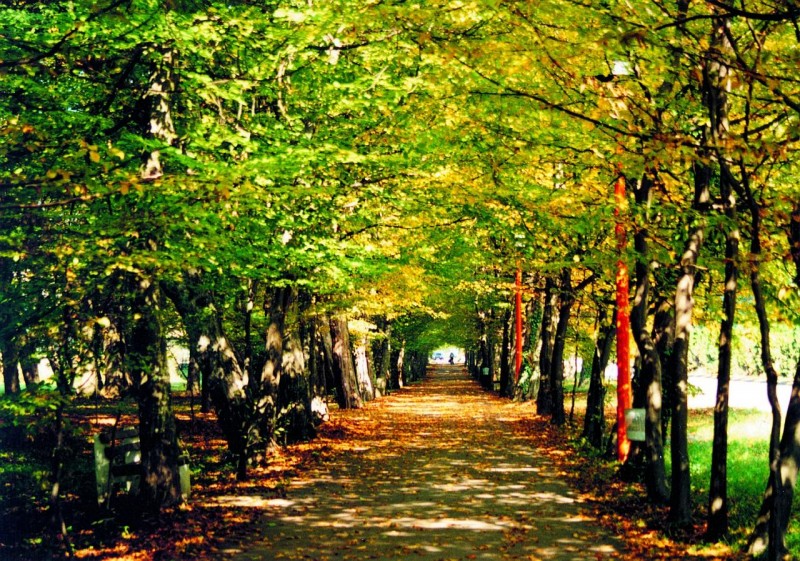 Obiteljska relaksacija u Daruvarskim toplicama, od 546 kn za 2 noći - Najbolje u Hrvatskoj