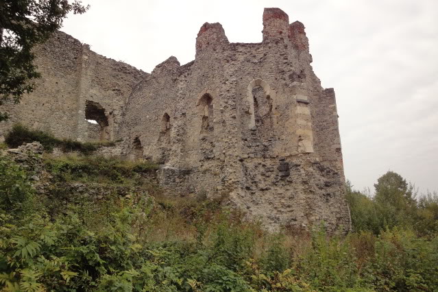 OSTACI RUŽICA-GRADA, ORAHOVICA - Najbolje u Hrvatskoj 