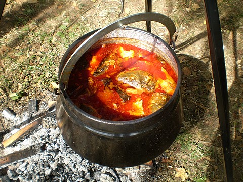FIŠ PAPRIKAŠ - Najbolje u Hrvatskoj 