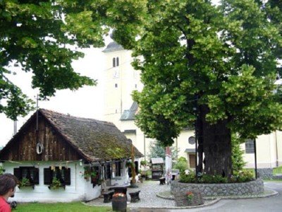 GUPČEVA LIPA - Najbolje u Hrvatskoj