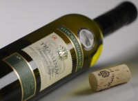 TRAMINAC PRINCINPOVAC – ILOČKI PODRUMI D.D. - Najbolje u Hrvatskoj 