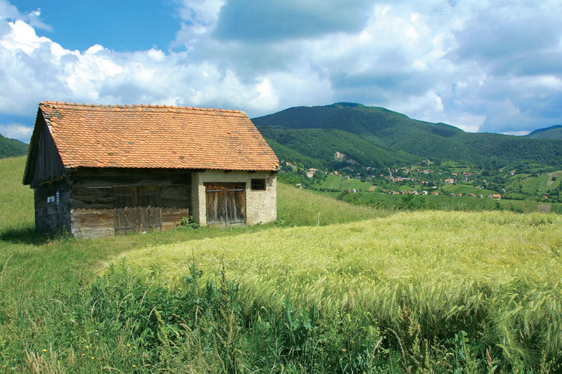 PLANINARENJE NA JAPETIĆ - Najbolje u Hrvatskoj 