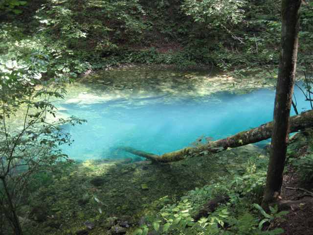 KAMAČNIK - Najbolje u Hrvatskoj 