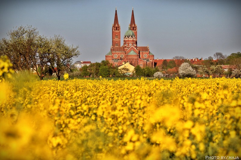 ĐAKOVO, SRCE SLAVONIJE! - Najbolje u Hrvatskoj 