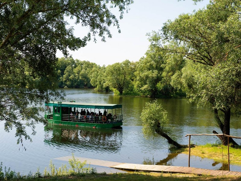 PARK PRIRODE KOPAČKI RIT - Najbolje u Hrvatskoj 