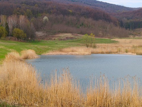LJESKOVE VODE - Najbolje u Hrvatskoj 
