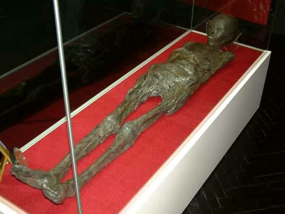 ARHEOLOŠKI MUZEJ - Najbolje u Hrvatskoj 