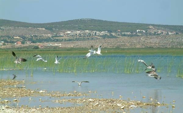PARK PRIRODE VRANSKO JEZERO - Najbolje u Hrvatskoj