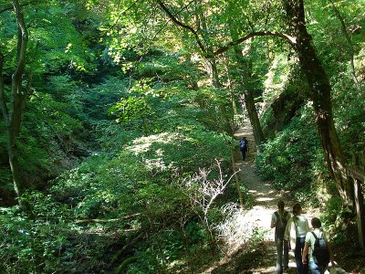PARK ŠUMA DOTRŠČINA - Najbolje u Hrvatskoj 