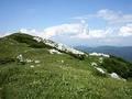 Gorski kotar i Kvarner, od svježine planina do svježine mora - Najbolje u Hrvatskoj 