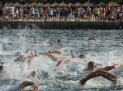 16. POREČKI DELFIN, POREČ - Najbolje u Hrvatskoj 