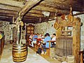 PELJEŠKO VINOGORJE - Najbolje u Hrvatskoj 