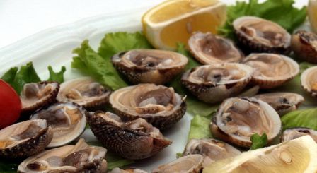 RESTORAN BADI, UMAG - Najbolje u Hrvatskoj 