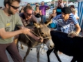 SALJSKO KULTURNO LJETO, DUGI OTOK, SRPANJ-KOLOVOZ 2018. - Najbolje u Hrvatskoj 