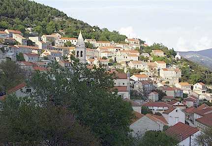 GRADINA, SMOKVICA, OTOK KORČULA - Najbolje u Hrvatskoj 
