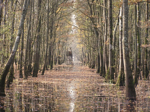 PARK ŠUMA BORIK - Najbolje u Hrvatskoj 
